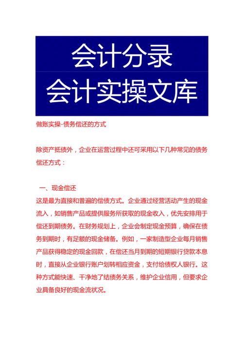 做账实操债务偿还的方式.docx