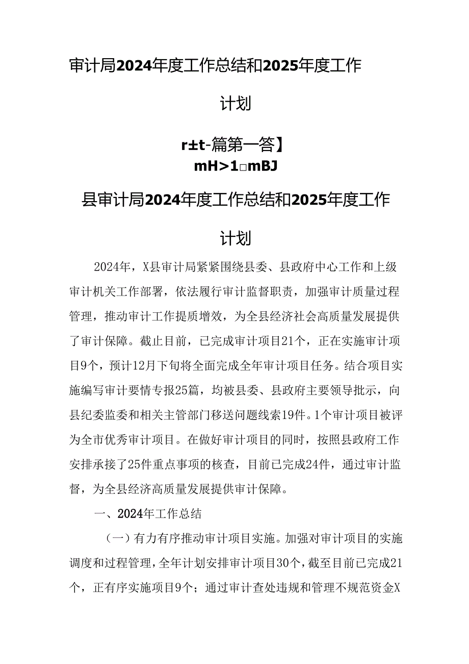 （2篇）审计局2024工作总结和2025工作计划.docx_第1页