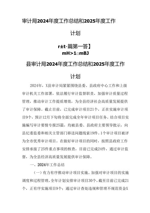 （2篇）审计局2024工作总结和2025工作计划.docx