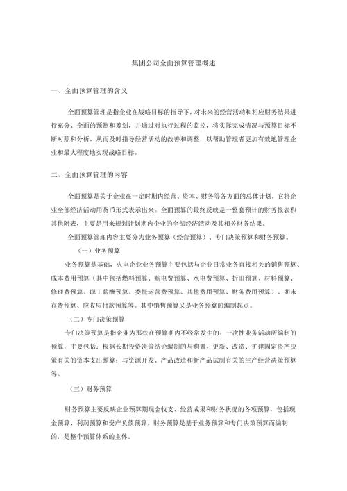 集团公司全面预算管理概述.docx