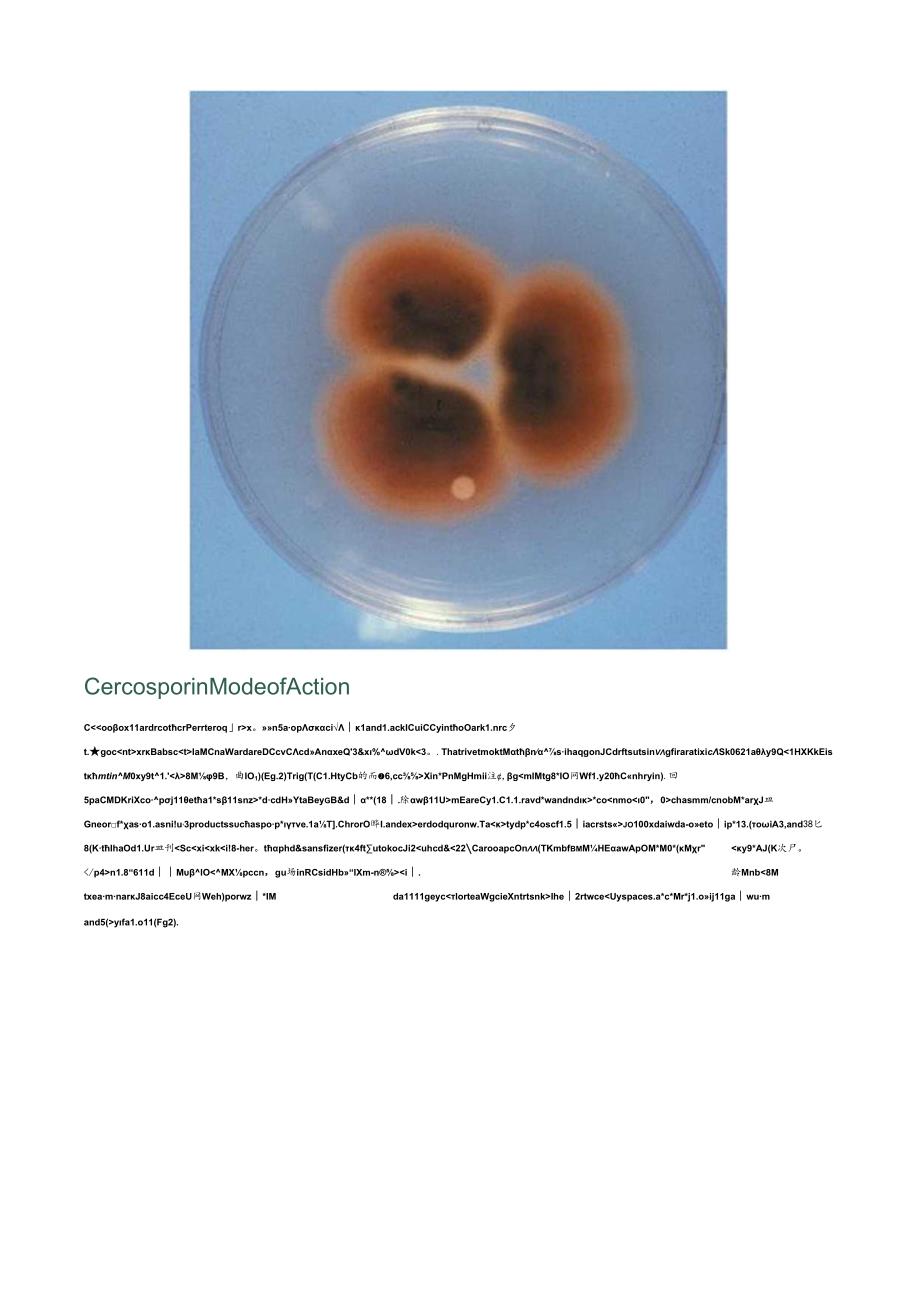 Cercosporin A Photoactivated Toxin in Plant Disease.docx_第3页
