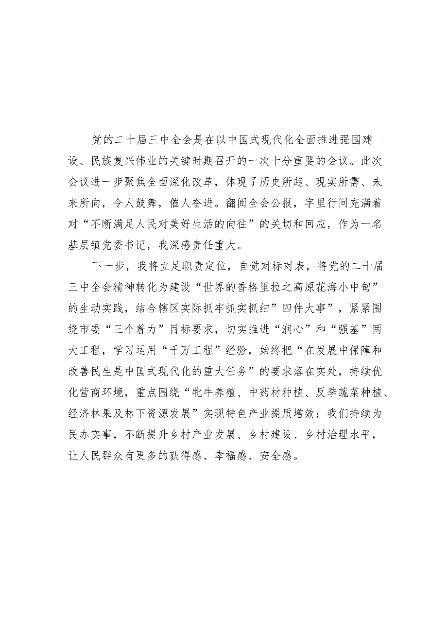 （11篇）基层镇党委书记学习二十三中全会精神心得体会集合.docx_第2页