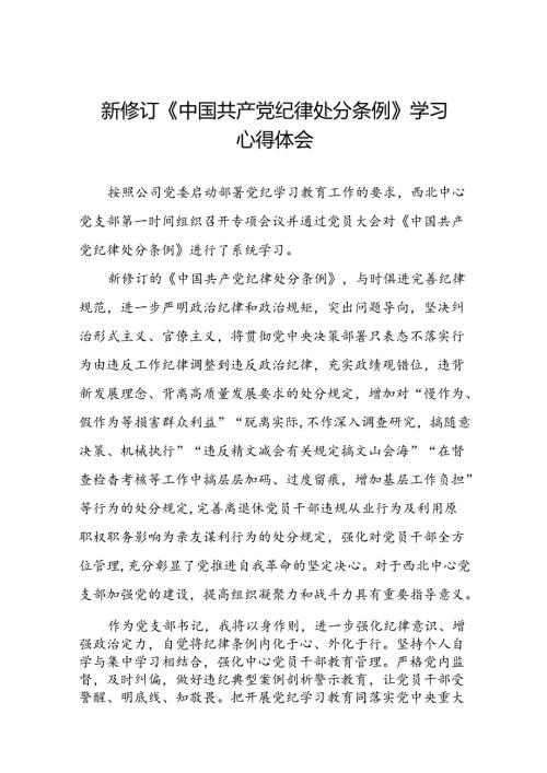 2024版中国共产党纪律处分条例心得感悟二十二篇.docx