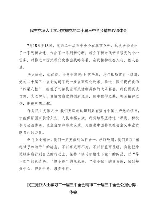 民主党派人士学习贯彻党的二十三中全会精神心得体会7篇（详细版）.docx