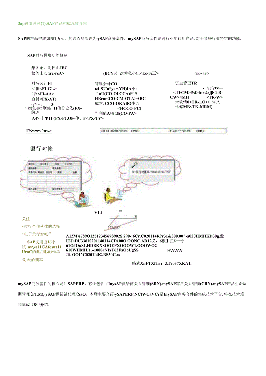 SAP产品构成总体介绍.docx_第1页