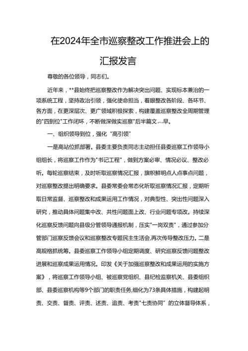 在2024年全市巡察整改工作推进会上的汇报发言.docx