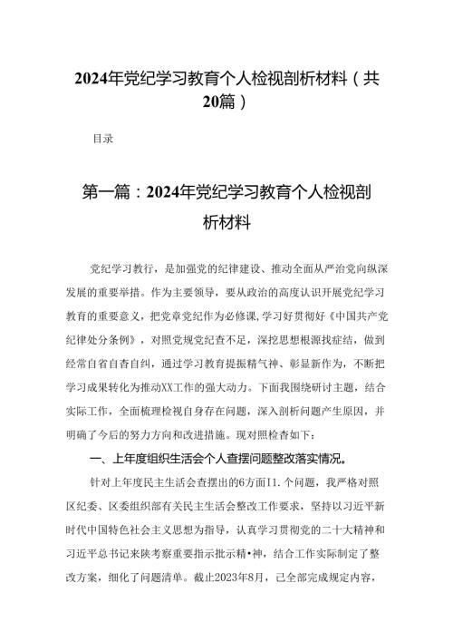 2024年党纪学习教育个人检视剖析材料（20篇）.docx