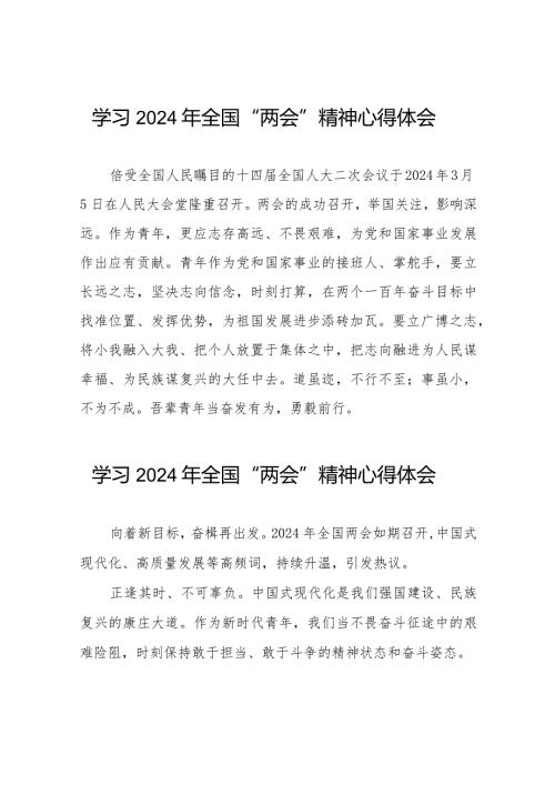 2024年两会精神学习心得体会合辑33篇.docx