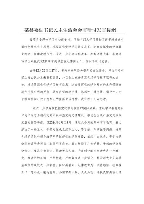 某县委副书记民主生活会会前研讨发言提纲.docx