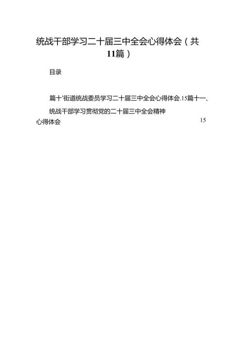 （11篇）统战干部学习二十三中全会心得体会集合.docx