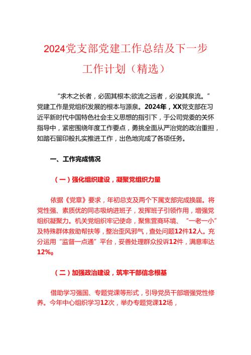 2024党支部党建工作总结及下一步工作计划（精选）.docx
