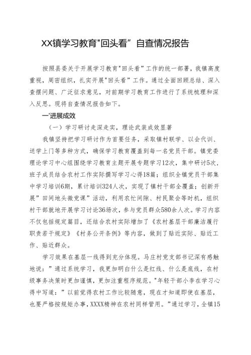 党委领导班子2025年学习教育“回头看”情况汇报多篇合集.docx