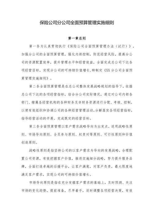 保险公司分公司全面预算管理实施细则.docx