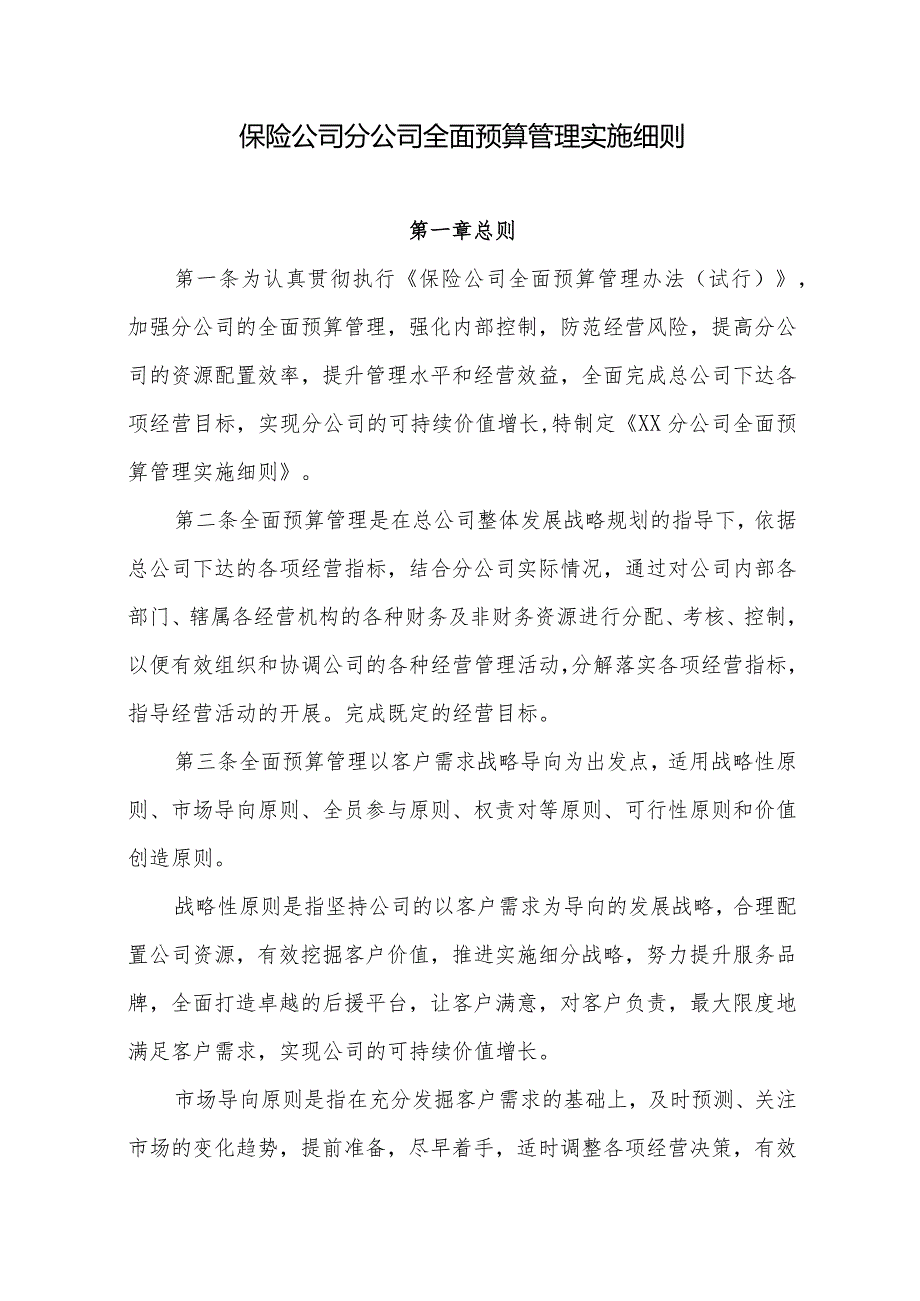 保险公司分公司全面预算管理实施细则.docx_第1页