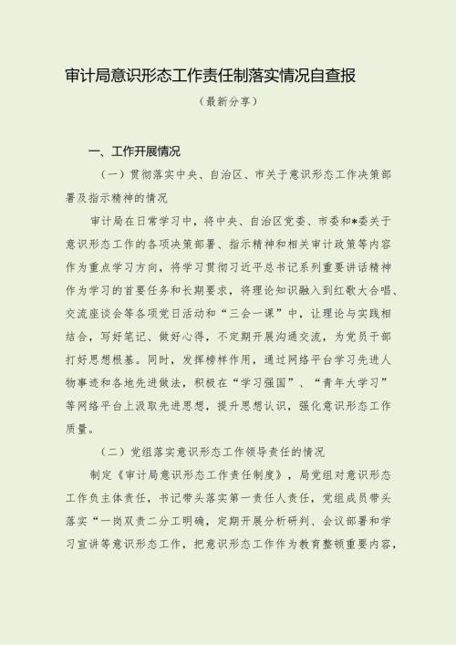 审计局意识形态工作责任制落实情况自查报（经典分享）.docx