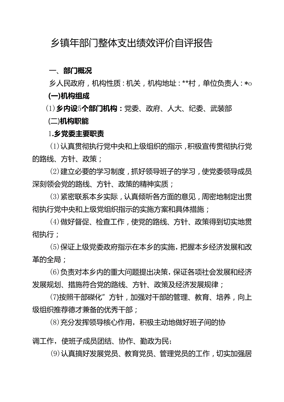 乡镇年部门整体支出绩效评价自评报告.docx_第1页