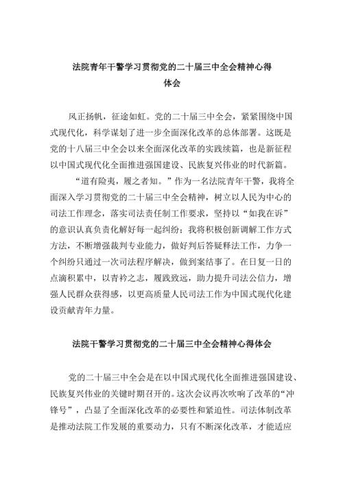 （12篇）法院青年干警学习贯彻党的二十三中全会精神心得体会精编资料.docx
