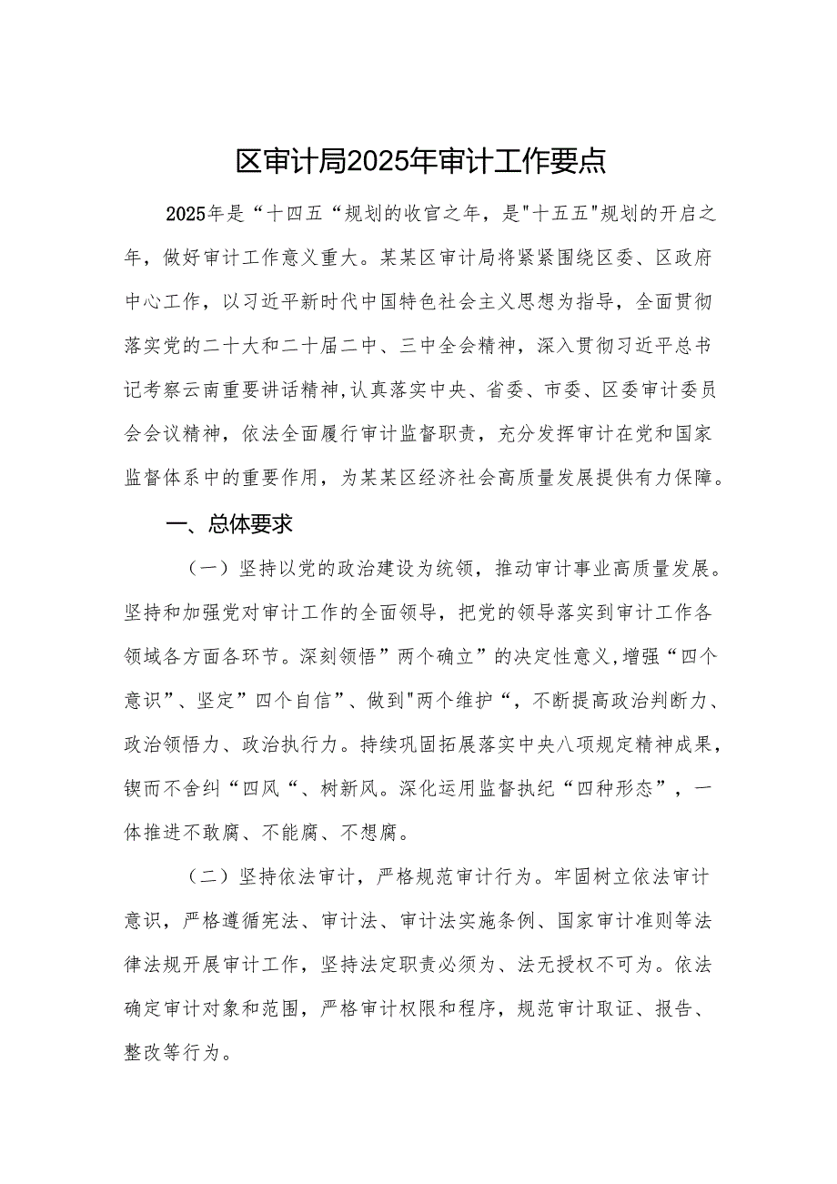 审计机关2025年审计工作要点范文.docx_第1页