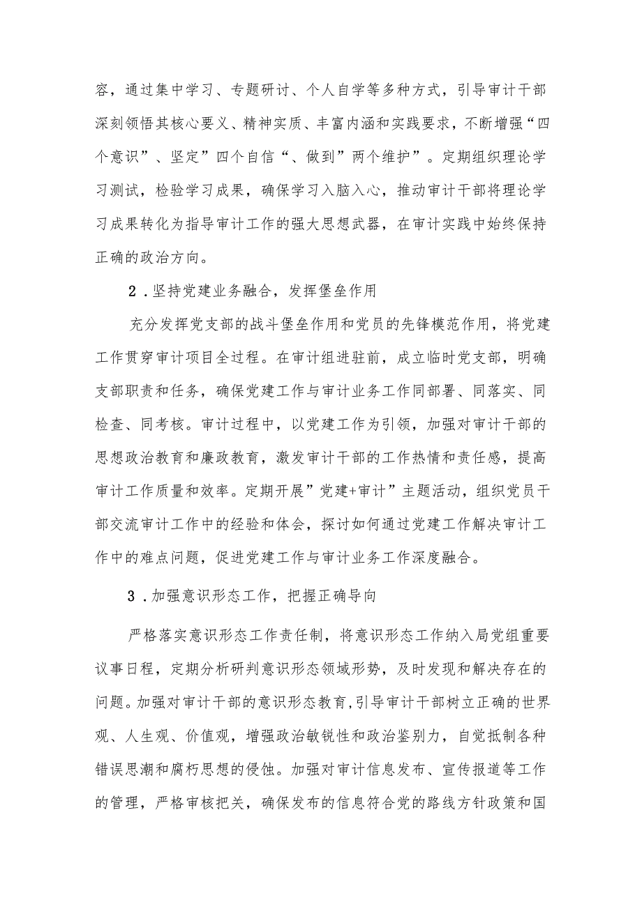 审计机关2025年审计工作要点范文.docx_第3页