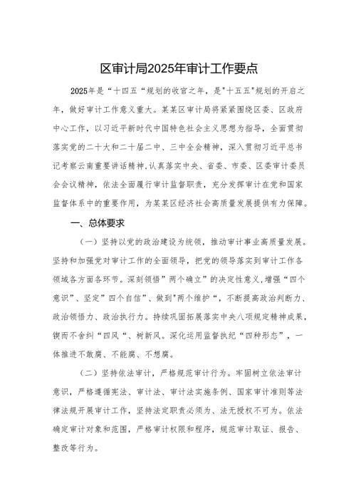 审计机关2025年审计工作要点范文.docx