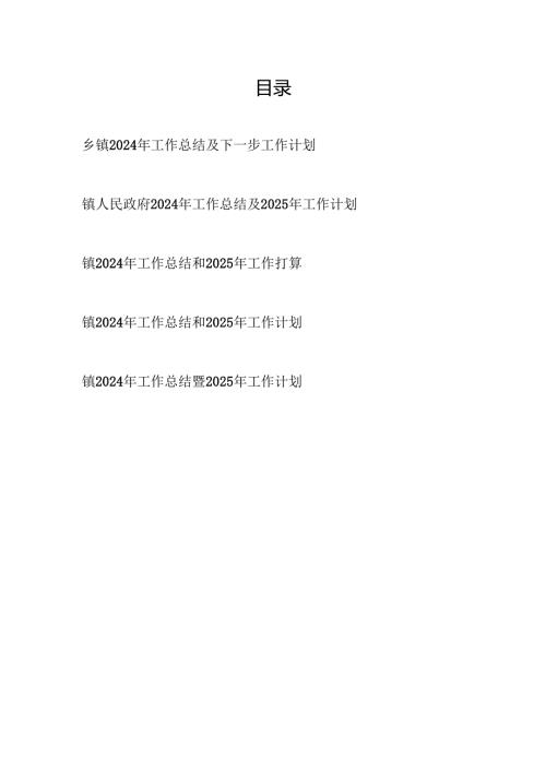 乡镇人民政府2024工作总结及2025年下一步工作计划5篇.docx