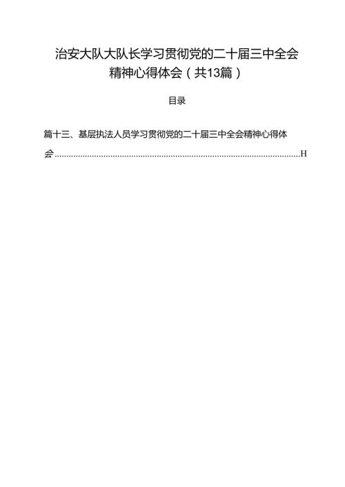 治安大队大队长学习贯彻党的二十三中全会精神心得体会（共13篇）.docx
