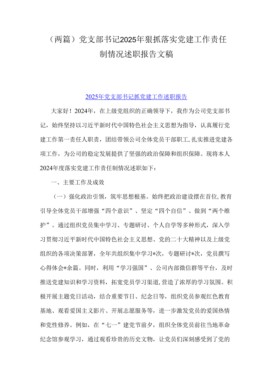 （两篇）党支部书记2025年狠抓落实党建工作责任制情况述职报告文稿.docx_第1页