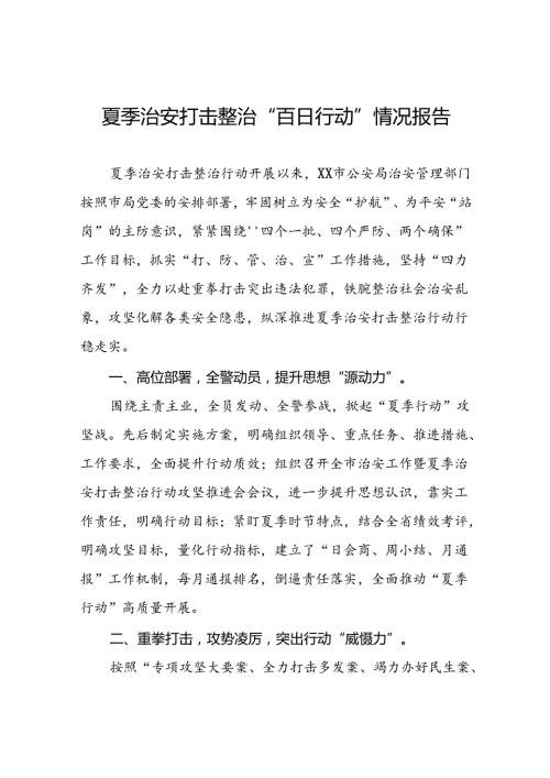 九篇2024年夏季治安打击整治行动开展情况汇报.docx
