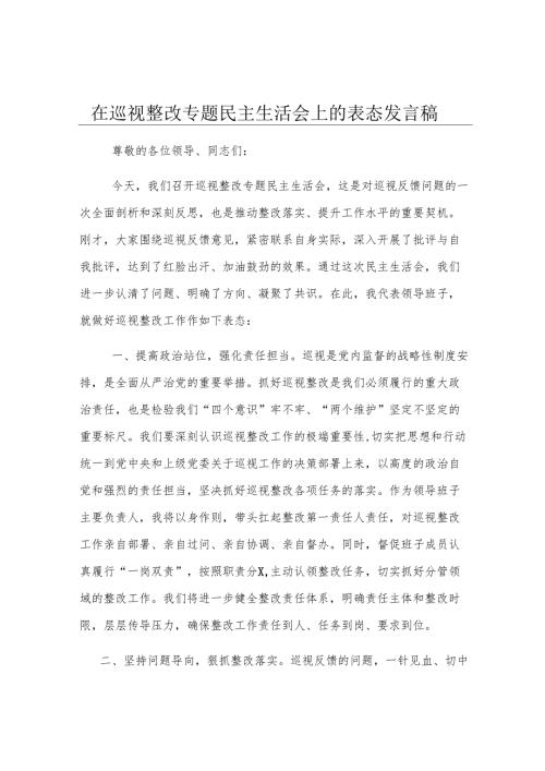 在巡视整改专题民主生活会上的表态发言稿.docx