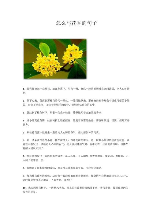怎么写花香的句子.docx