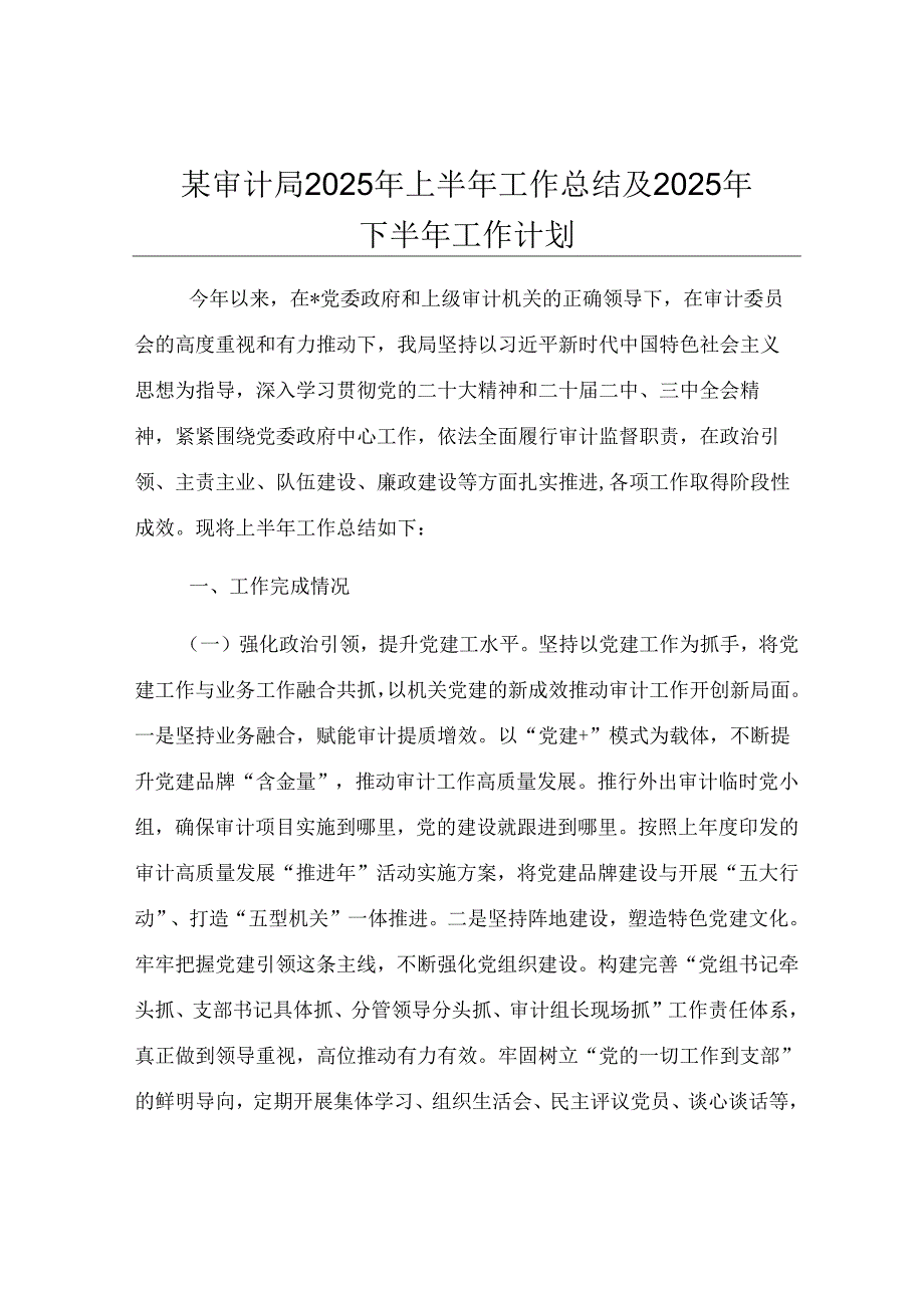 某审计局2025年上半年工作总结及2025年下半年工作计划.docx_第1页