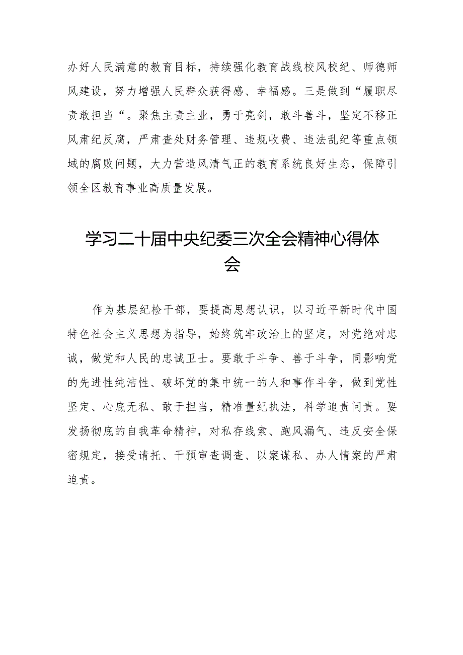 关于二十中央纪委三次全会精神的心得体会简短发言十九篇.docx_第2页