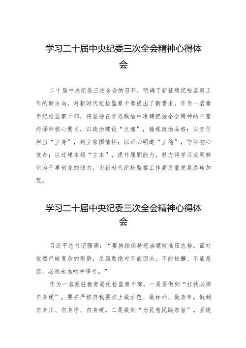 关于二十中央纪委三次全会精神的心得体会简短发言十九篇.docx