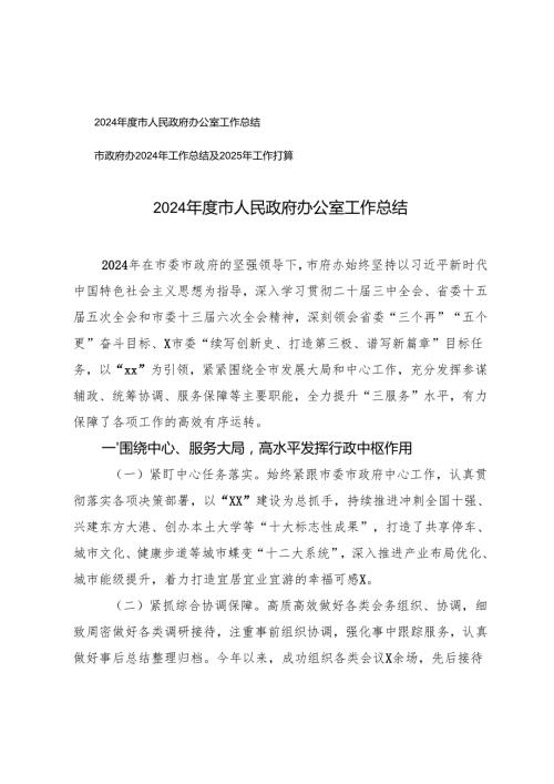 2篇 2024市人民政府办公室工作总结.docx