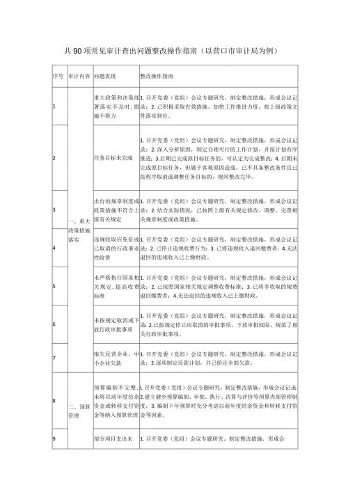 共90项常见审计查出问题整改操作指南（以营口市审计局为例）.docx