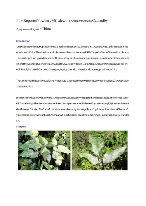 First Report of Powdery Mildew of Clematis manshurica CausedErysiphe aquilegiae in China.docx