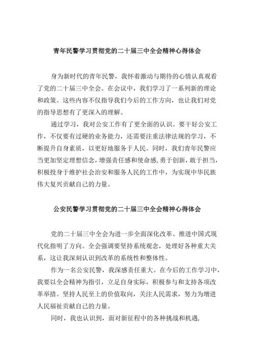 （11篇）青年民警学习贯彻党的二十三中全会精神心得体会范本.docx