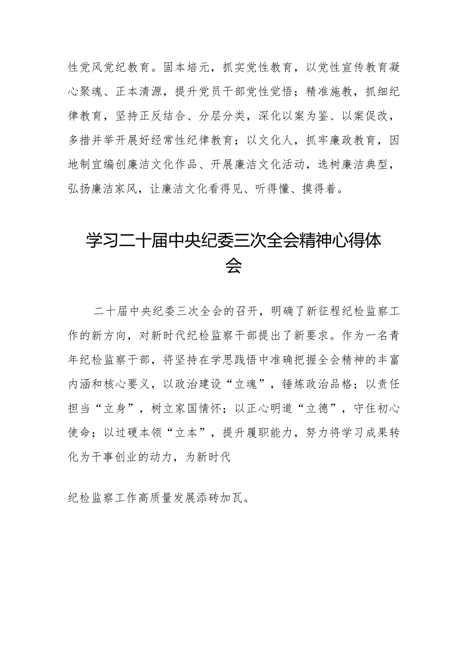 2024年二十中央纪委三次全会精神学习心得体会十九篇.docx_第3页