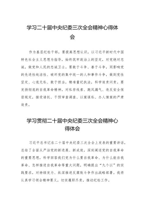 2024年二十中央纪委三次全会精神学习心得体会十九篇.docx