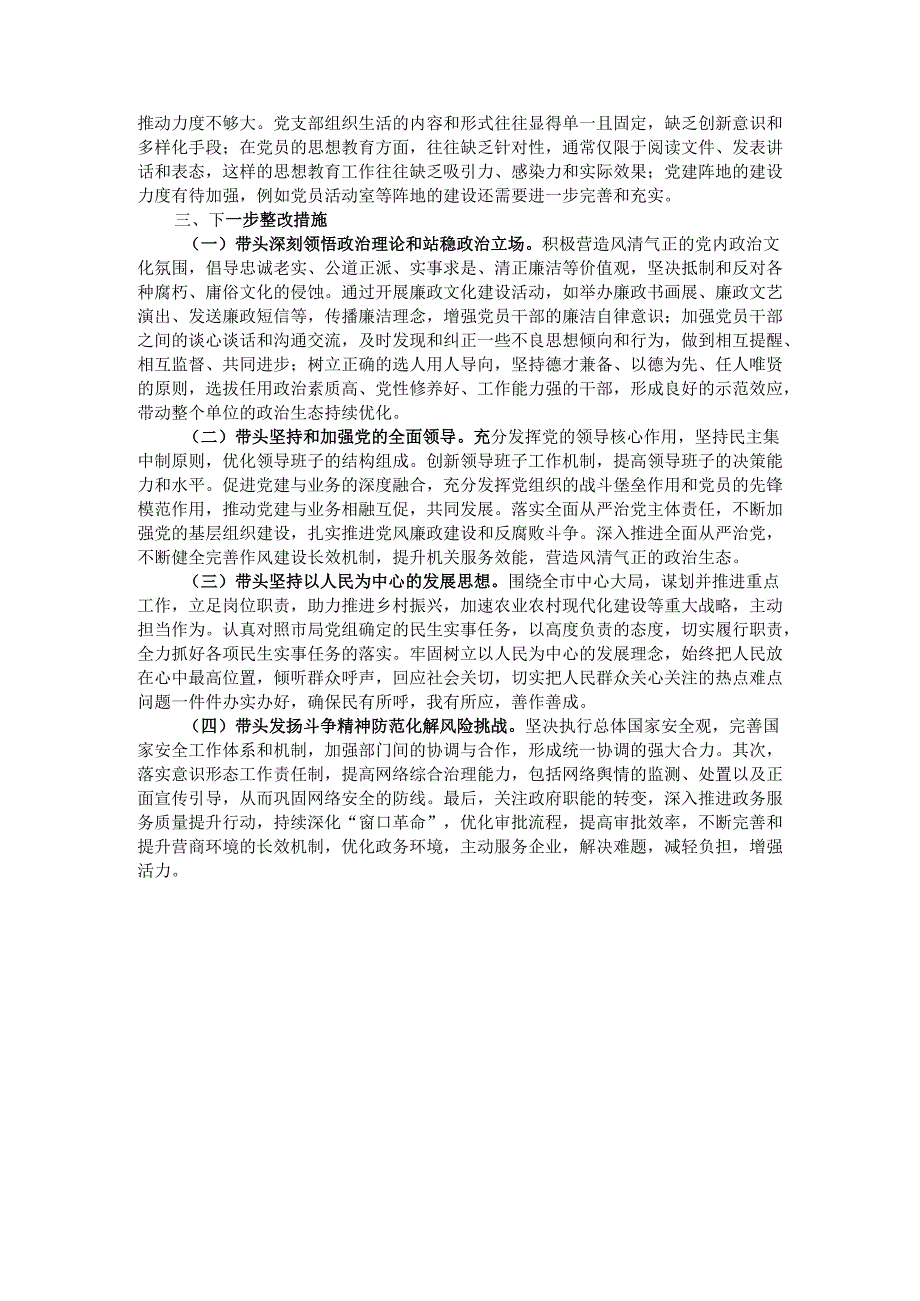 市直单位党组书记2024年民主生活会个人对照检查发言材料（四个带头）.docx_第3页
