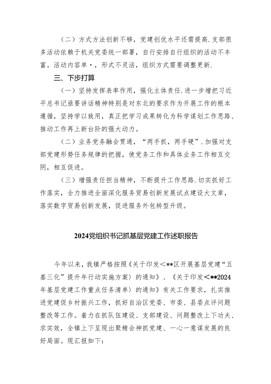 党支部书记2024抓基层党建工作述职报告（共7篇）.docx_第3页