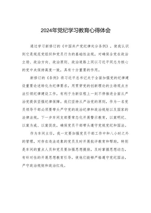2024年党纪学习教育关于学习新修订版中国共产党纪律处分条例的心得体会发言材料四篇.docx