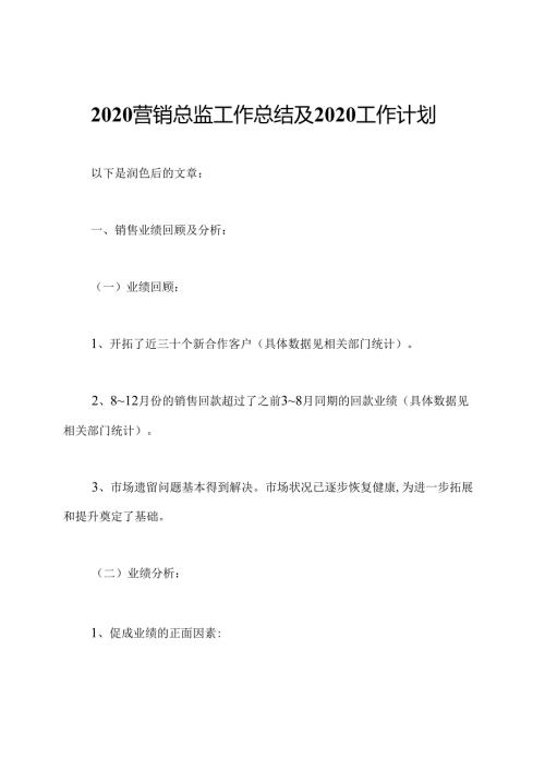2020营销总监工作总结及2020工作计划.docx