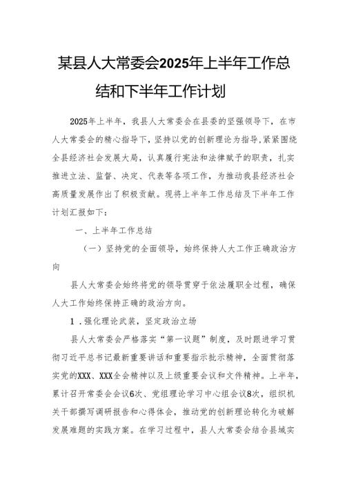 某县人大常委会2025年上半年工作总结和下半年工作计划.docx
