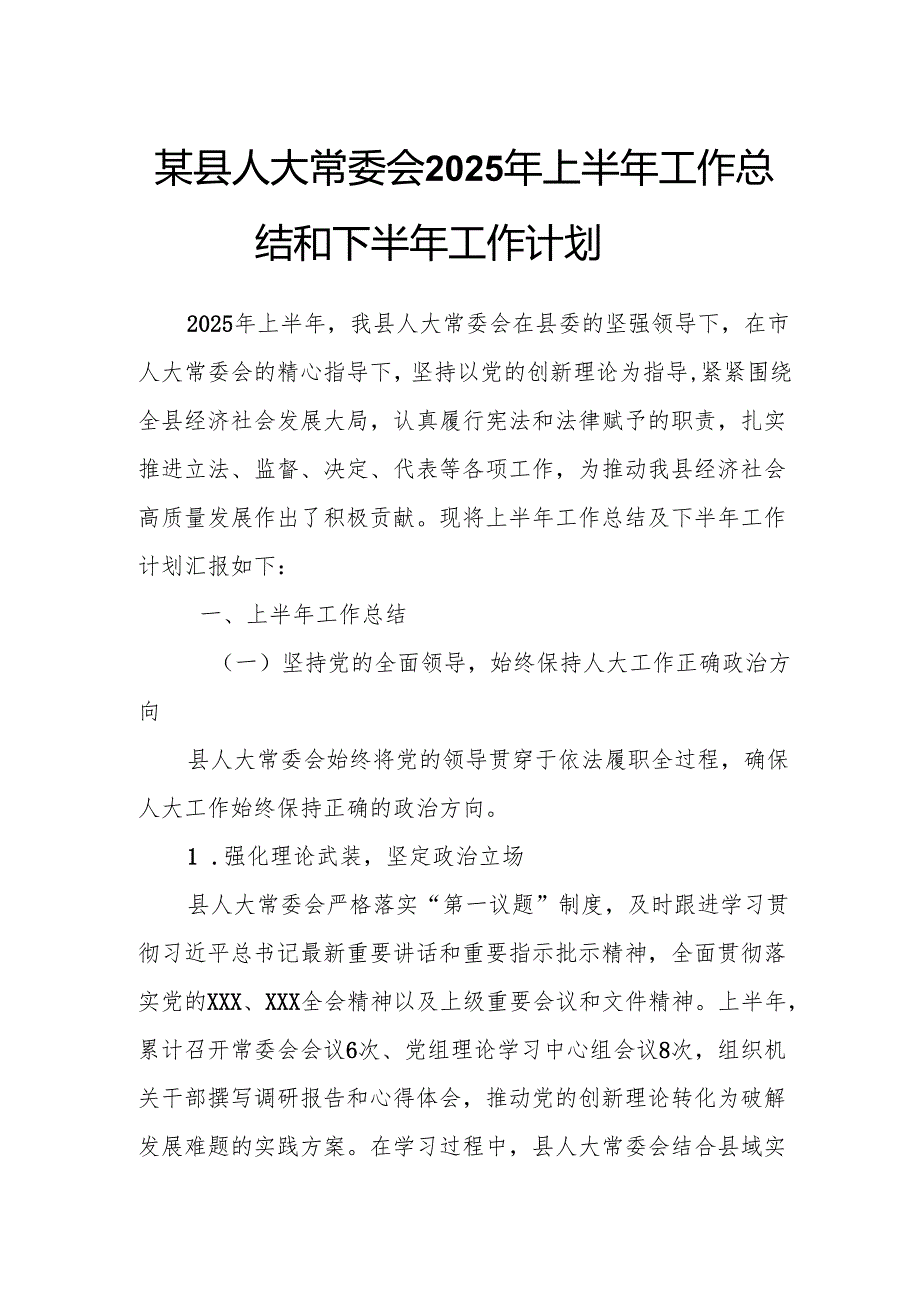 某县人大常委会2025年上半年工作总结和下半年工作计划.docx_第1页