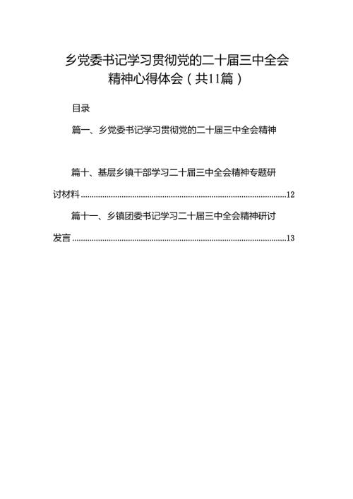 （11篇）乡党委书记学习贯彻党的二十三中全会精神心得体会合辑.docx