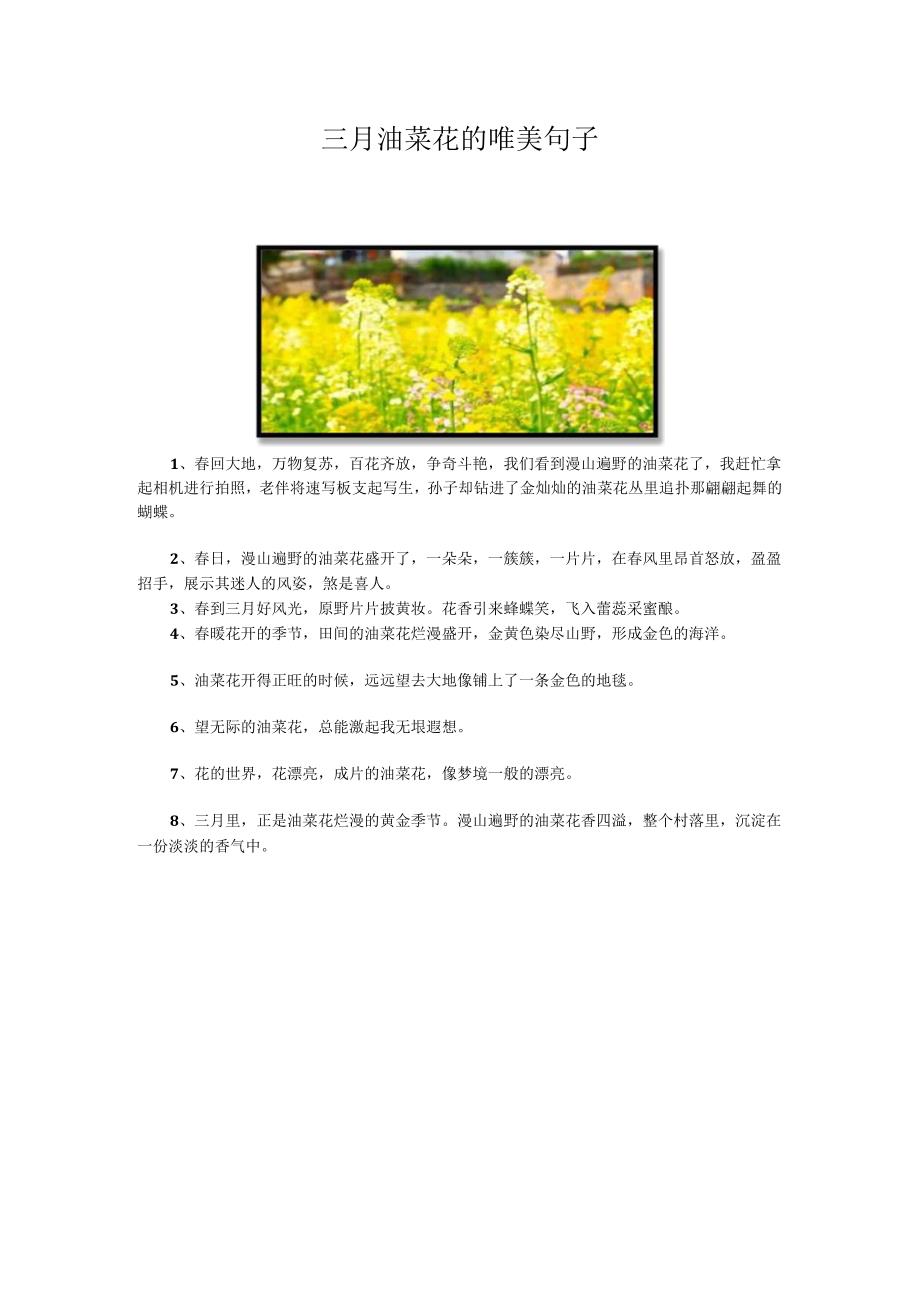 三月油菜花的唯美句子.docx_第1页