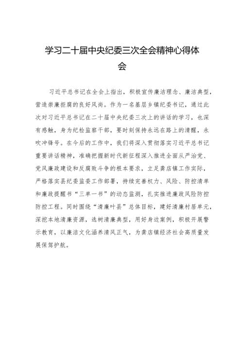 学习贯彻二十中央纪委三次全会精神心得体会发言稿十九篇.docx