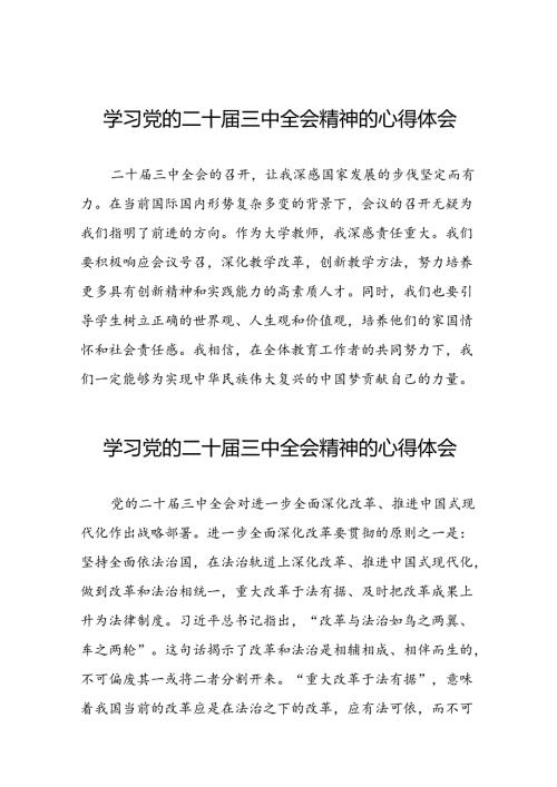 学习党的二十三中全会精神的心得感悟优秀模板三十篇.docx