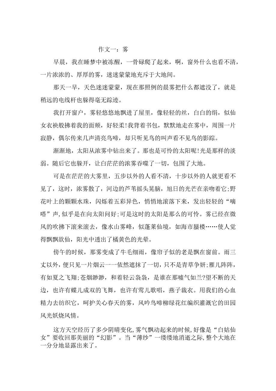 描写雾的作文1000字（精选3篇）.docx_第1页